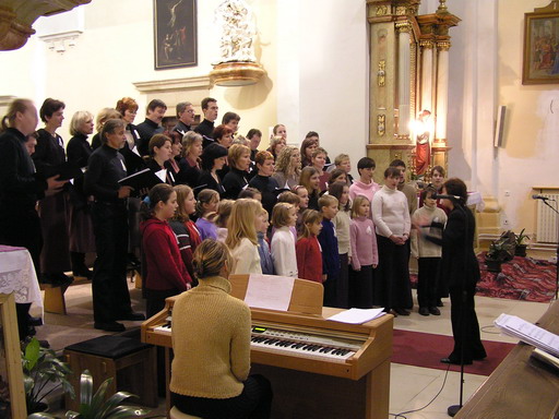 PC110050_resize.JPG